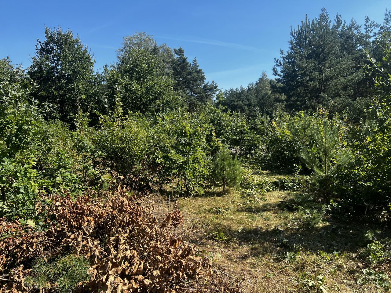 Działka budowlana Leboszowice, ul. Smolnicka. Zdjęcie 11