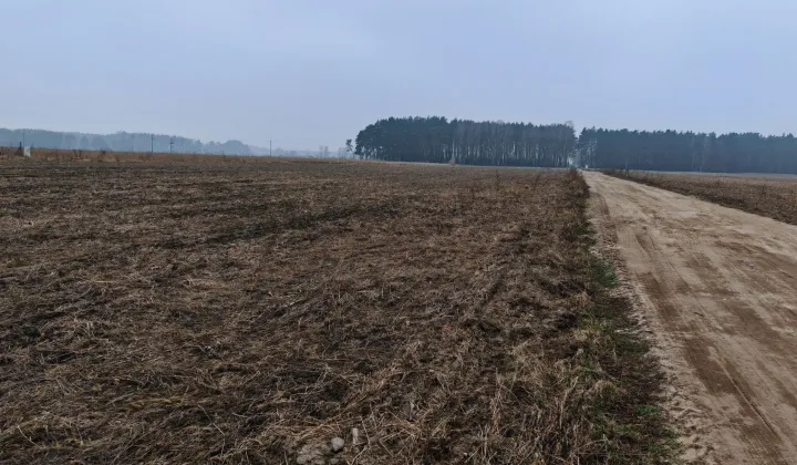 Działka budowlana Pszczółczyn