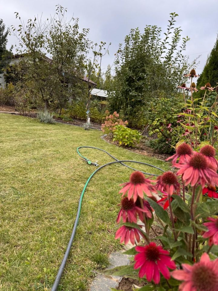 Działka rod Lublin, ul. Koncertowa. Zdjęcie 7