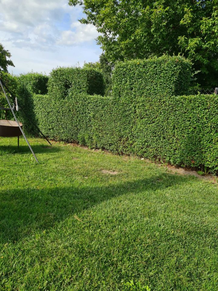 Działka siedliskowa Holendry Baranowskie. Zdjęcie 7