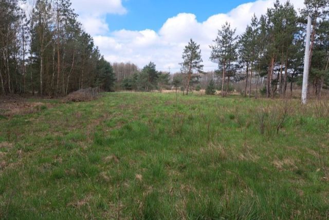 Działka siedliskowa Rosocha-Kolonia, Rosocha Kolonia. Zdjęcie 1