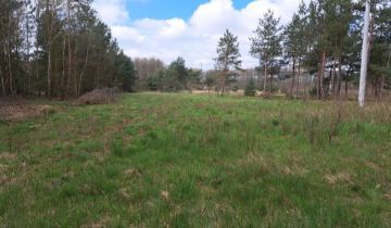 Działka siedliskowa Rosocha-Kolonia, Rosocha Kolonia