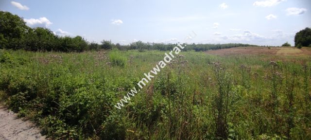 Działka siedliskowa Wola Pękoszewska. Zdjęcie 3