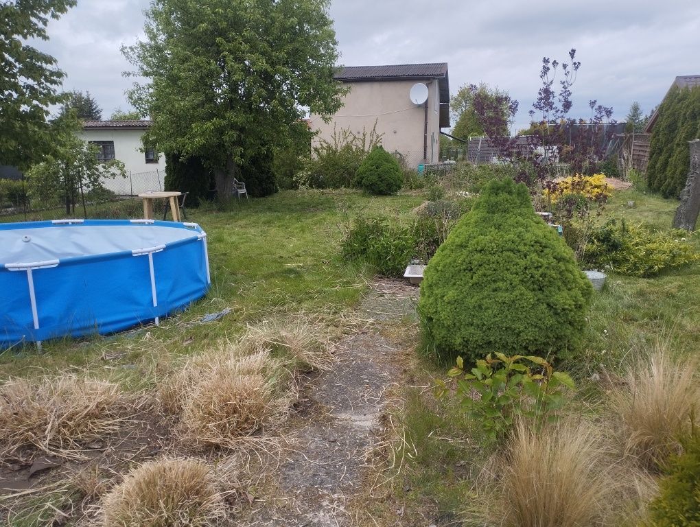 Działka rod Gniezno, ul. Powstańców Wlkp.. Zdjęcie 1