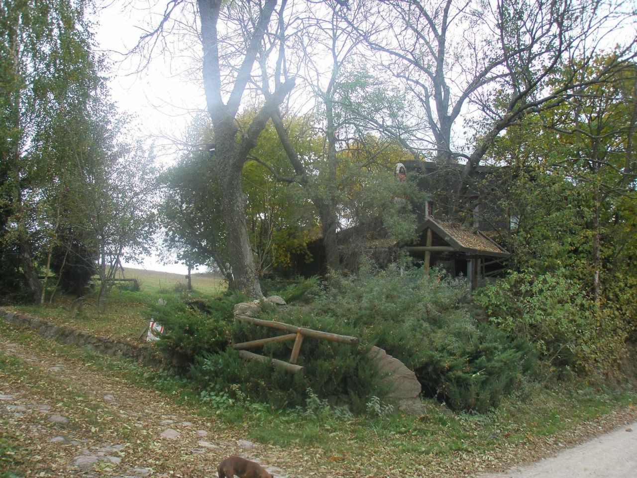 Działka rolno-budowlana Muntowo. Zdjęcie 8