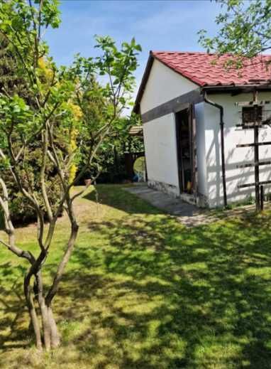 Działka rod Nysa, ul. Jagiellońska. Zdjęcie 3