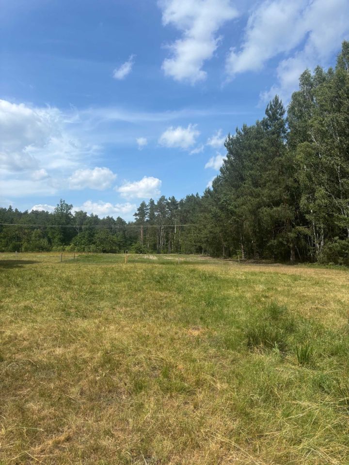 Działka rolno-budowlana Biernacice. Zdjęcie 7