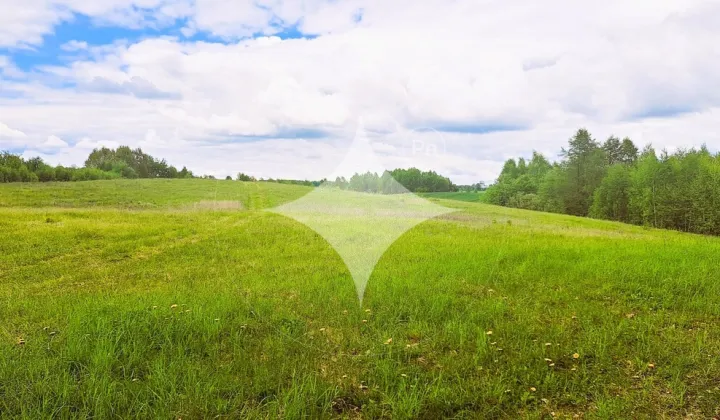 Działka budowlana Dąbrówka Wielka