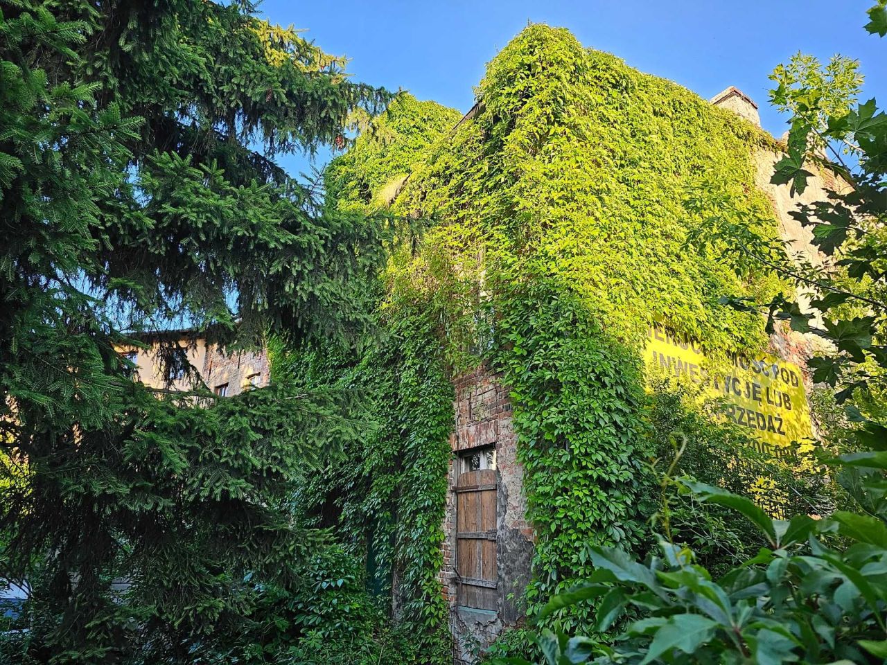 Nieruchomość komercyjna Brodnica Centrum. Zdjęcie 4