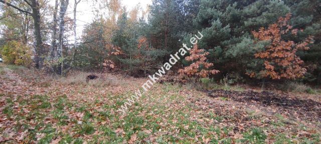 Działka budowlana Tłumy. Zdjęcie 10