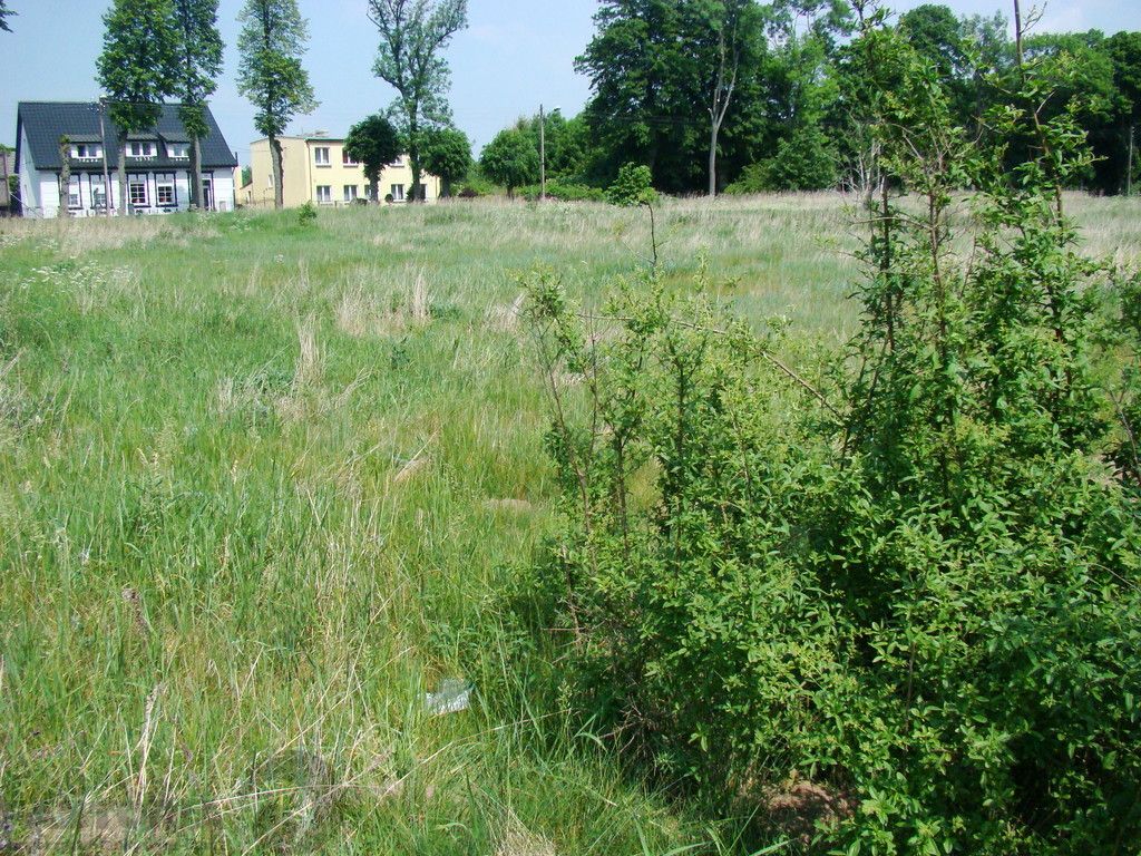 Działka budowlana Nowe Warpno. Zdjęcie 11