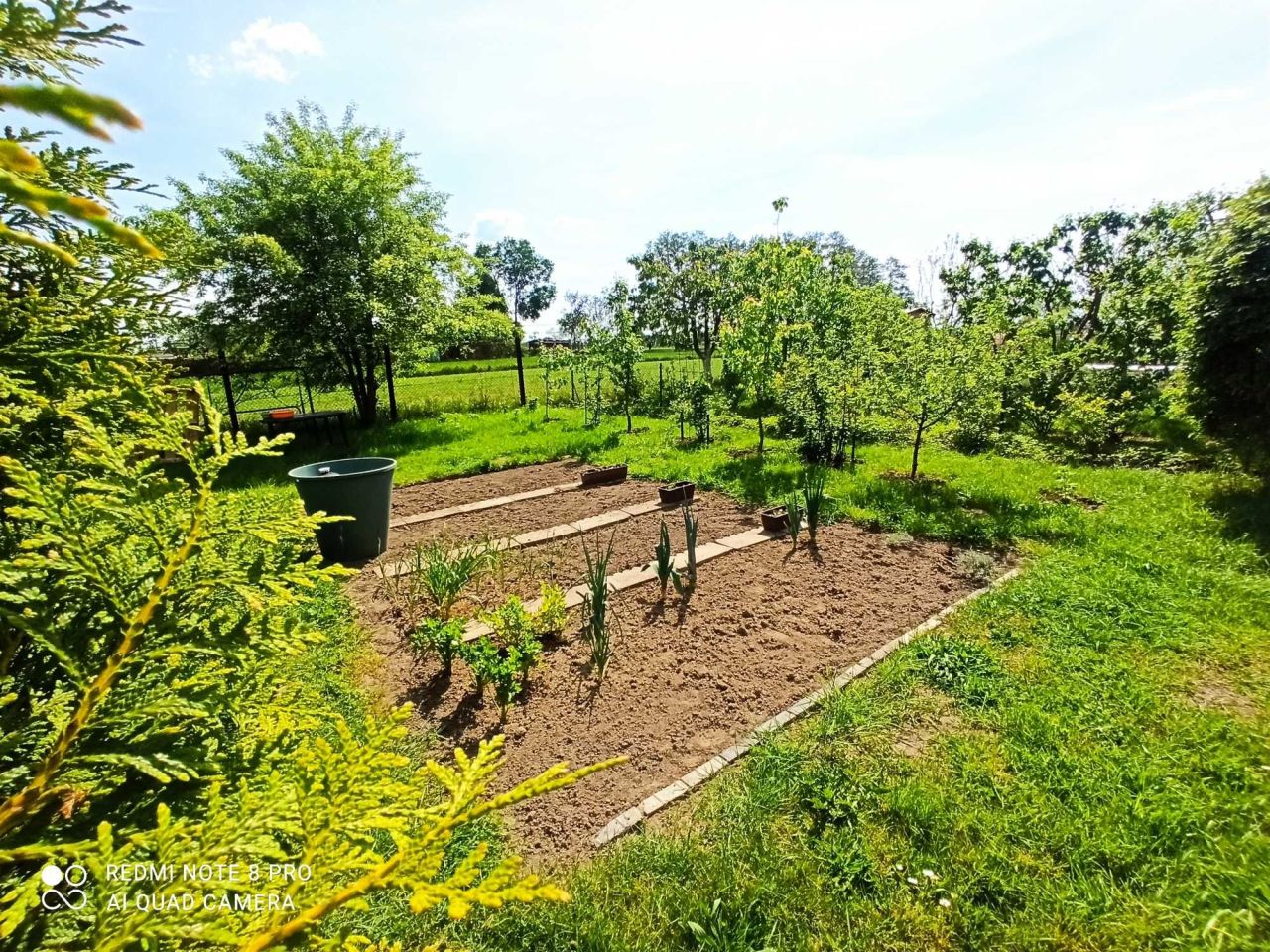 Działka rod Opole, ul. Wspólna. Zdjęcie 4