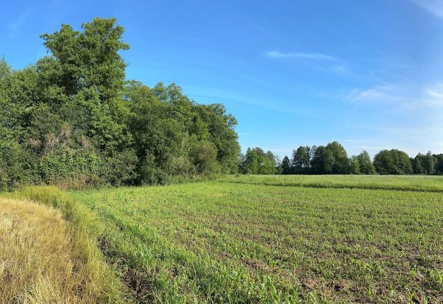 Działka rolna Rudawica. Zdjęcie 1