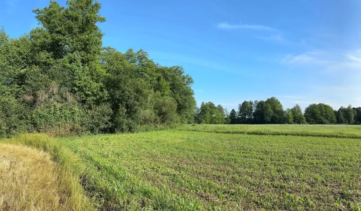 Działka rolna Rudawica, Rudawica