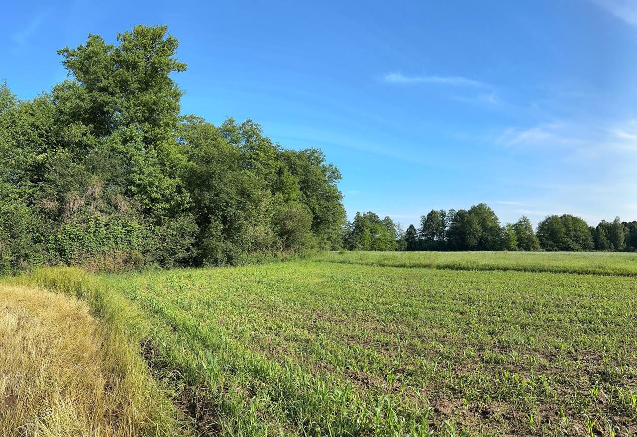Działka rolna Rudawica. Zdjęcie 1
