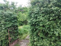 Działka rod Wołomin, ul. Kurkowa. Zdjęcie 4