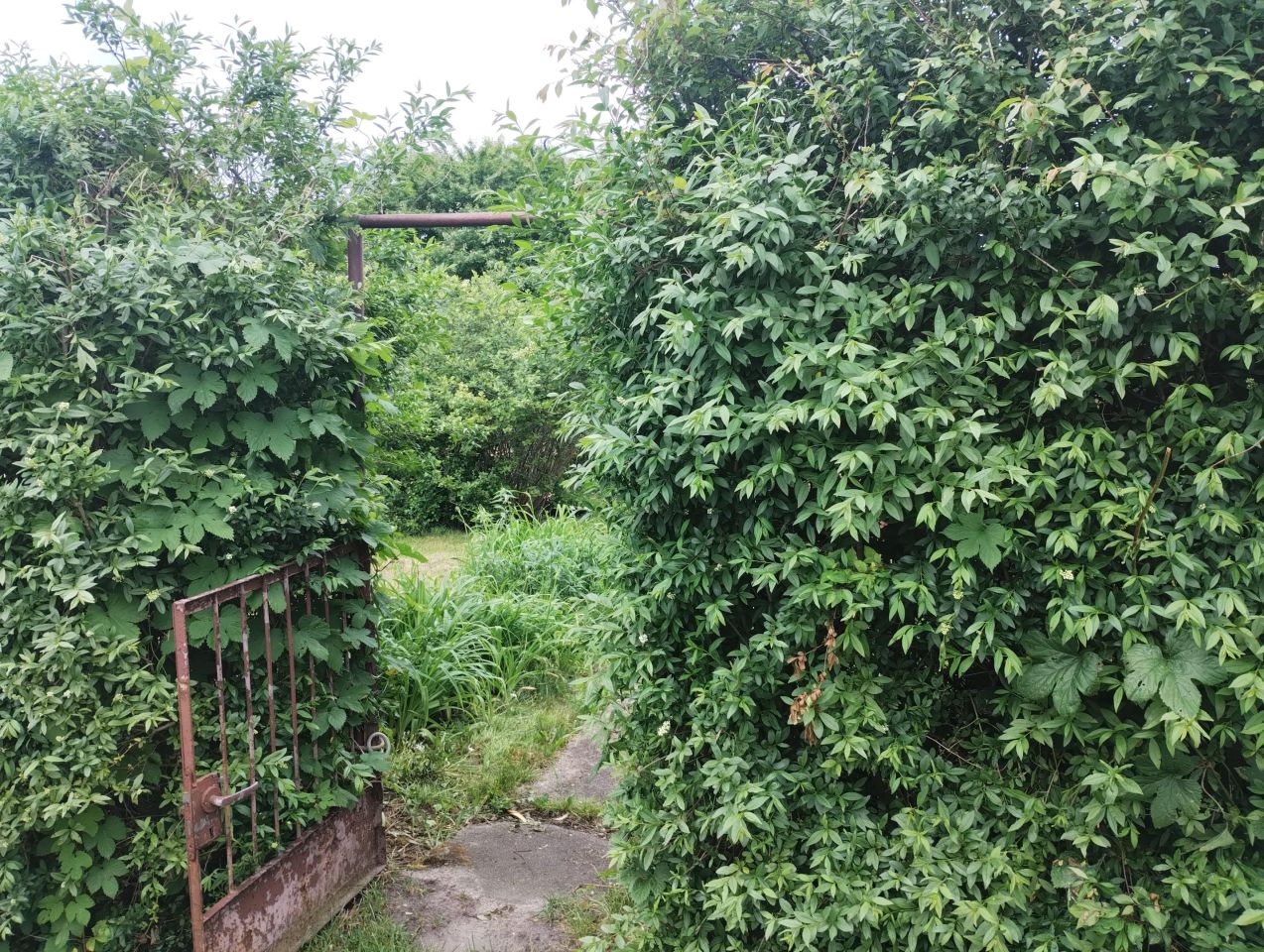 Działka rod Wołomin, ul. Kurkowa. Zdjęcie 5
