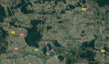 Działka leśna Wolica