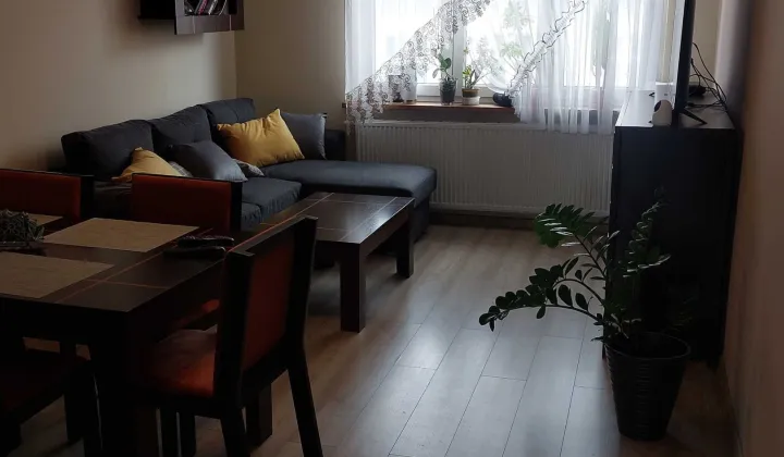 Mieszkanie 2-pokojowe Oleśnica, rynek Rynek