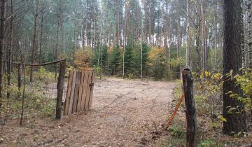 Działka leśna Jankowo-Młodzianowo