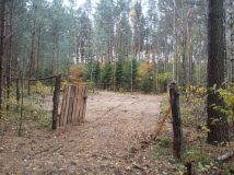 Działka leśna Jankowo-Młodzianowo. Zdjęcie 1