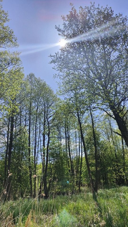 Działka rolno-budowlana Wielki Wełcz. Zdjęcie 4