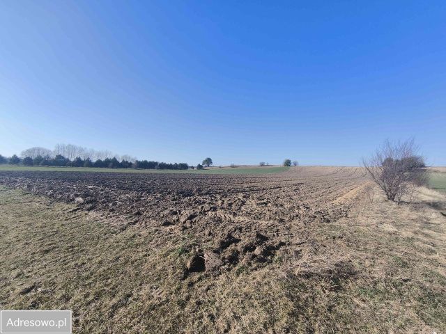 Działka rolna Świerczyna. Zdjęcie 1