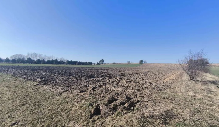 Działka rolna Świerczyna