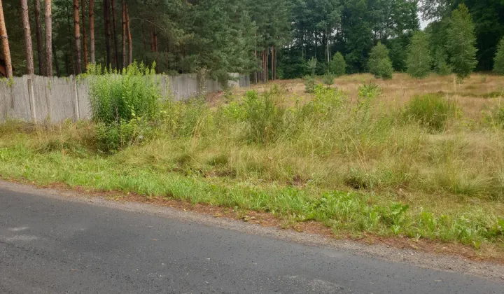 Działka budowlana Kolonia Karczmy, ul. Leśna