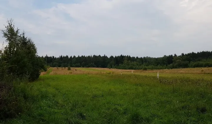 Działka budowlana Dyminy, ul. Przyłogi