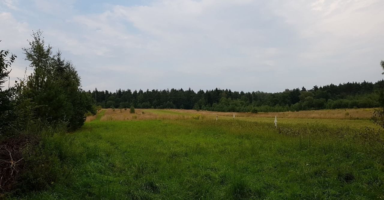 Działka budowlana Dyminy, ul. Przyłogi. Zdjęcie 1