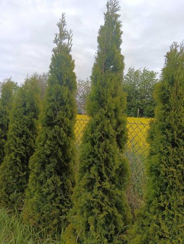 Działka budowlana Garbów. Zdjęcie 1