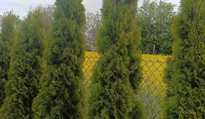 Działka budowlana Garbów