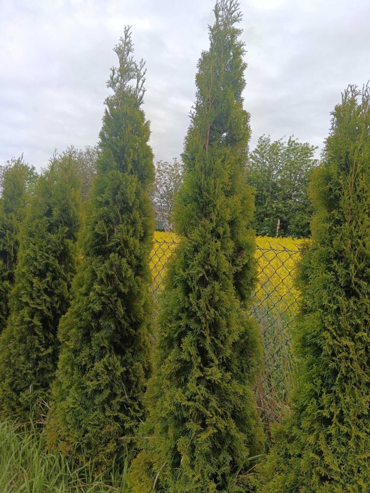 Działka na sprzedaż bez pośredników
Garbów