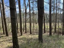 Działka leśna Wola Wężykowa. Zdjęcie 3