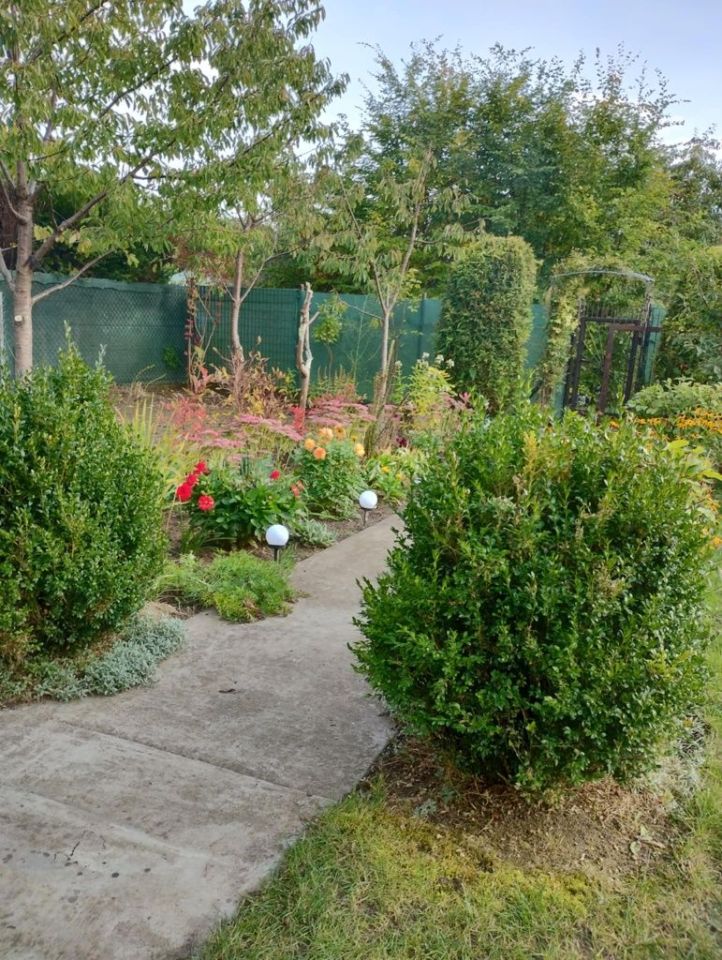 Działka rod Wójtowo. Zdjęcie 2