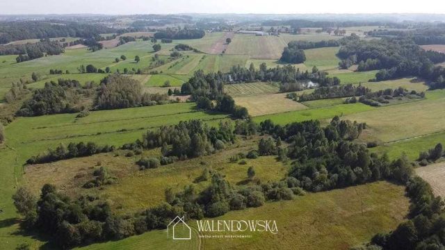 Działka rolna Gowidlino. Zdjęcie 1