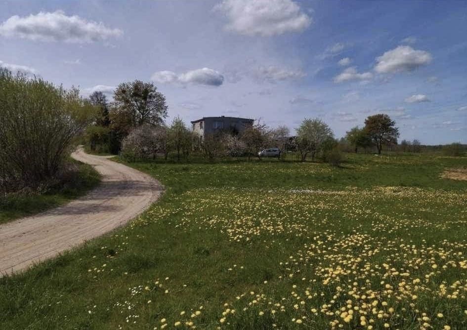 Działka rekreacyjna Raj. Zdjęcie 6