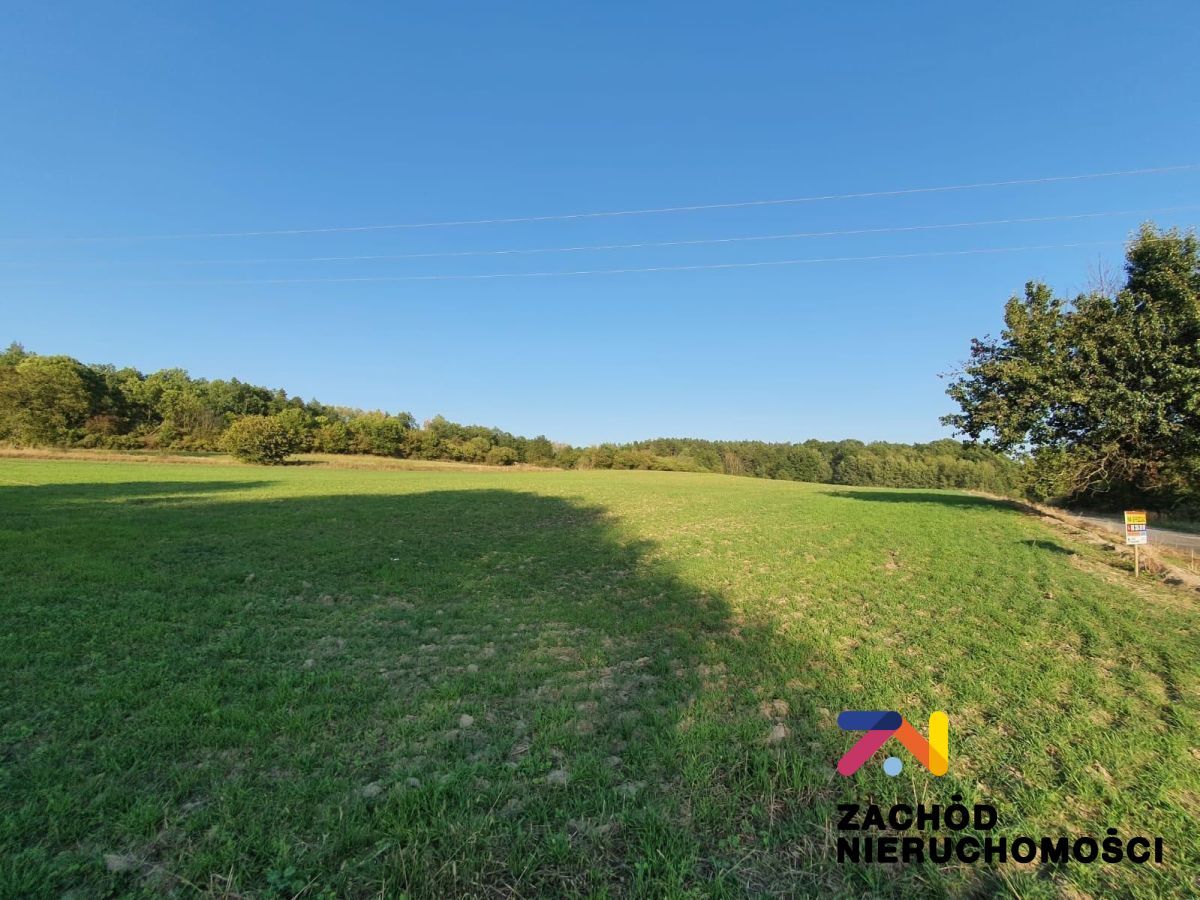 Działka budowlana Drągowina. Zdjęcie 3