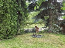 Działka rod Warszawa Targówek. Zdjęcie 2