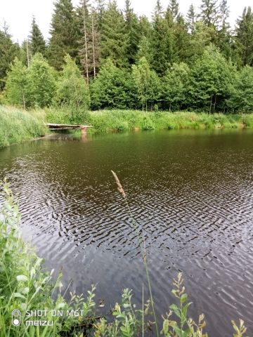 Działka rolna Kozaki. Zdjęcie 8