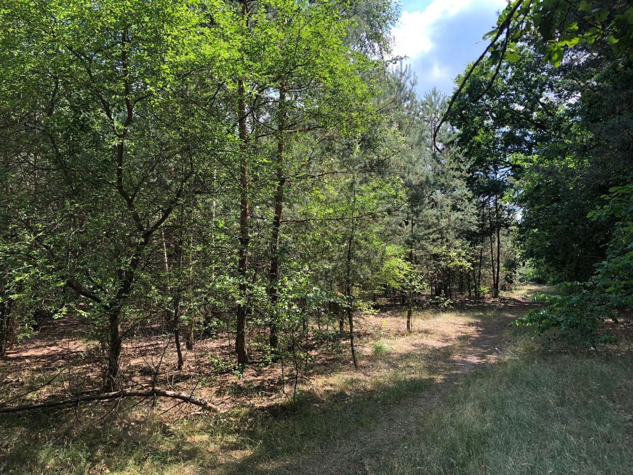 Działka inwestycyjna Nieporęt, ul. Stokrotki. Zdjęcie 9