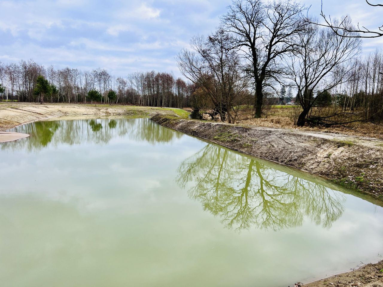 dom wolnostojący, 3 pokoje Goszczyce Średnie. Zdjęcie 14