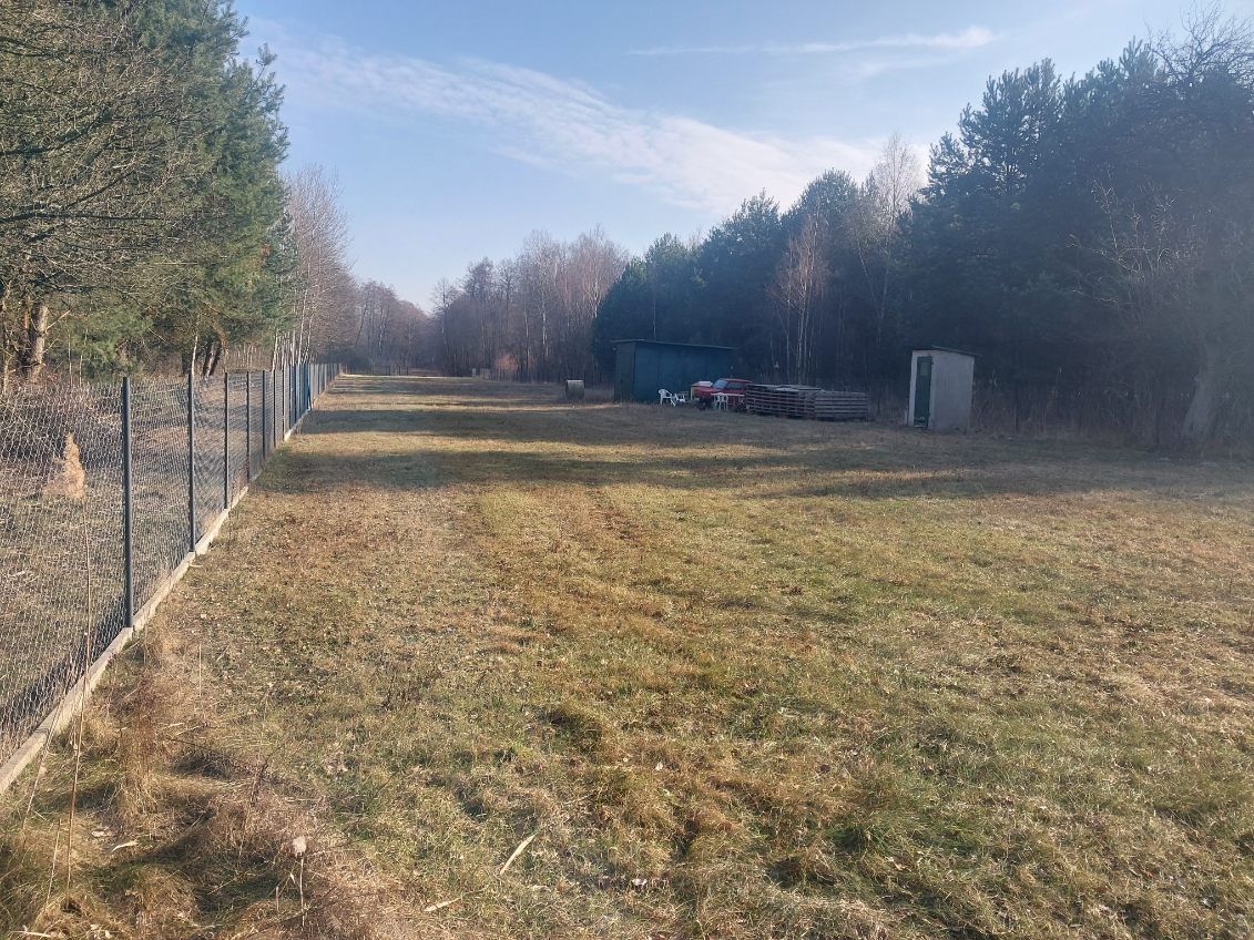 Działka budowlana Grabina Radziwiłłowska, ul. Borówkowa. Zdjęcie 6