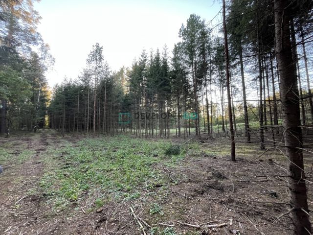 Działka budowlana Szczebra. Zdjęcie 5