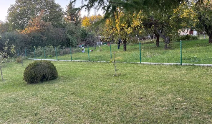 Działka rod Międzyrzecz