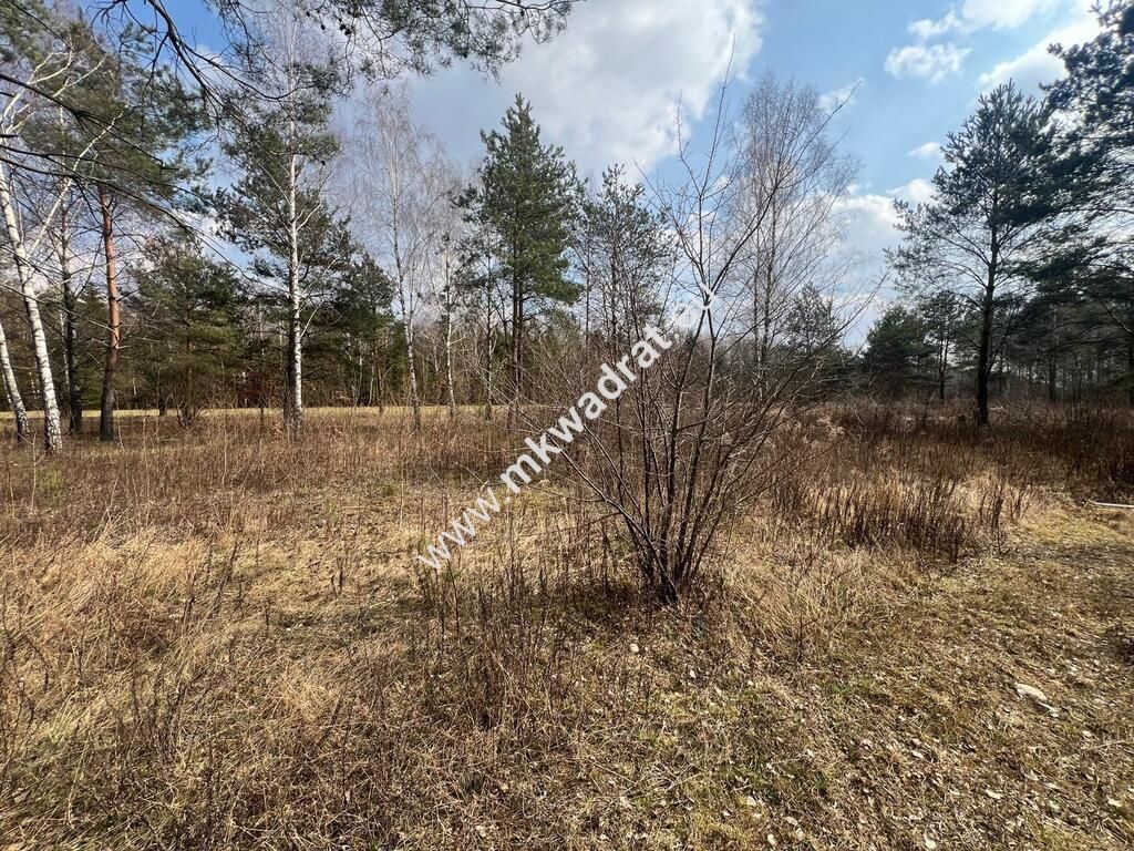 Działka Tłumy. Zdjęcie 5