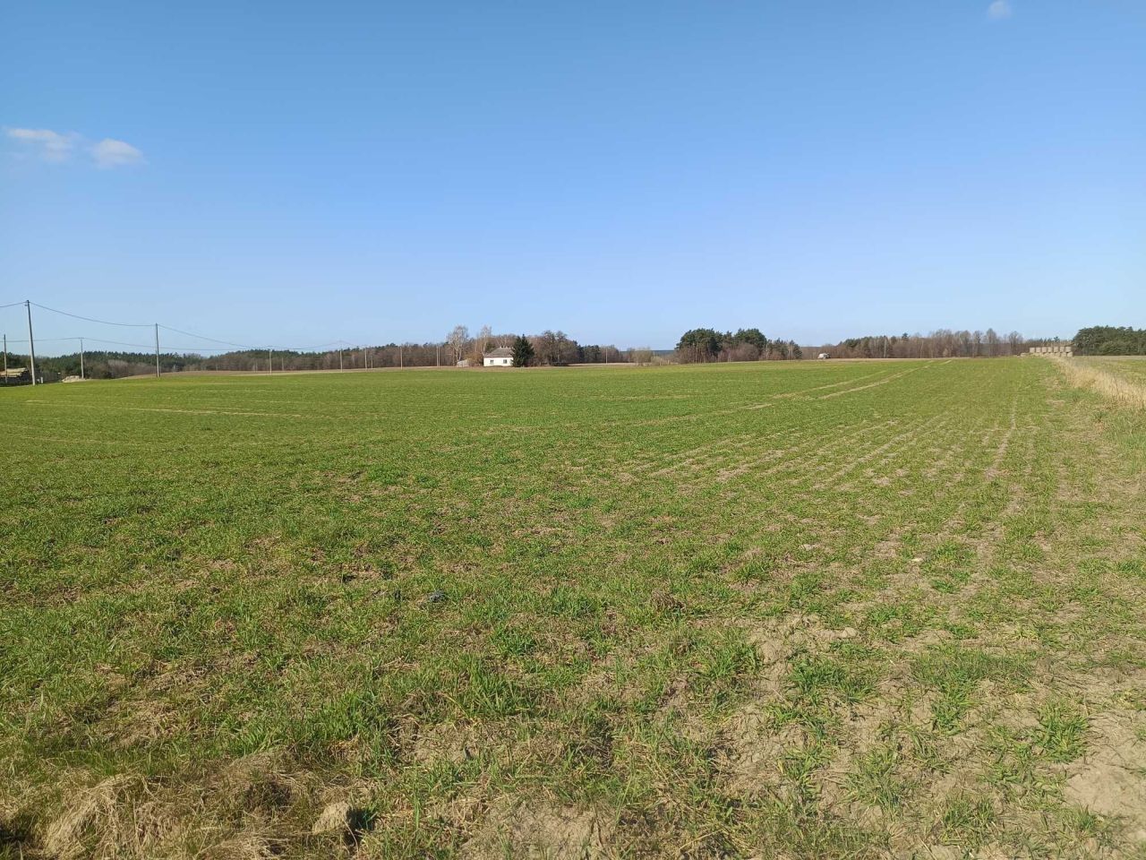 Działka budowlana Kierz Półwieski. Zdjęcie 1