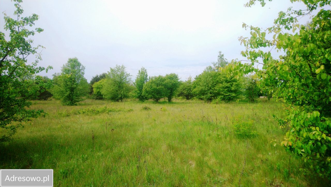 Działka budowlana Popielżyn-Zawady. Zdjęcie 8