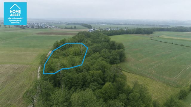 Działka budowlana Werblinia, ul. Leśna. Zdjęcie 8